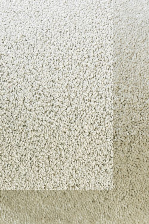 Bild: Schlingenteppich mit Frisee Bordüre Twinset Frame (Creme; wishsize)