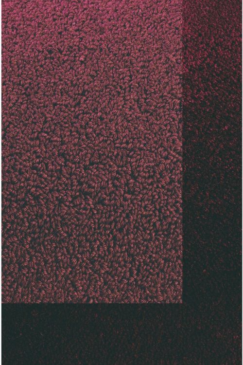 Bild: Schlingenteppich mit Frisee Bordüre Twinset Frame (Bordeaux; 250 x 350 cm)