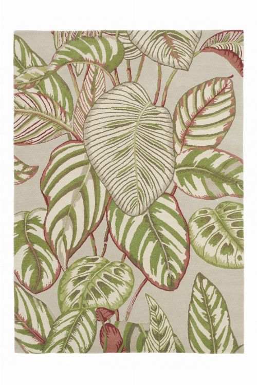 Bild: Sanderson Teppich Calathea 50807 (Olive; 250 x 350 cm)