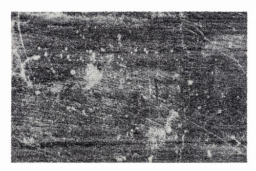 Bild: ASTRA Schmutzfangmatte - Lavandou Vintage (185 x 120 cm)