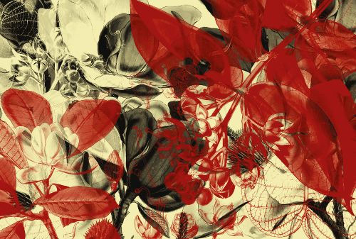 Bild: AP Digital - Botanical Garden - 150g Vlies (3 x 2.5 m)