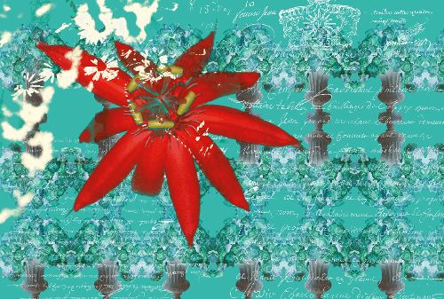 Bild: AP Digital - Floral Red - 150g Vlies (4 x 2.67 m)