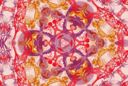 Bild: AP Digital - Blossom Pentacle - 150g Vlies (3 x 2.5 m)