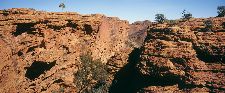 Bild: AP Digital - Kings Canyon - 150g Vlies (3 x 2.5 m)