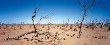 Bild: AP Digital - Outback - 150g Vlies