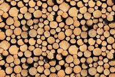 Bild: AP Digital - Stock Of Wood - 150g Vlies (2 x 1.33 m)