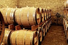 Bild: AP XXL2 - Wine Cellar - 150g Vlies (5 x 3.33 m)