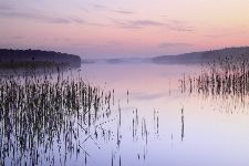 Bild: AP XXL2 - Lake Calm - 150g Vlies (4 x 2.67 m)