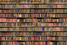 Bild: AP XXL2 - Bookcase - 150g Vlies (2 x 1.33 m)