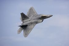 Bild: AP XXL2 - F22 Raptor - 150g Vlies (2 x 1.33 m)