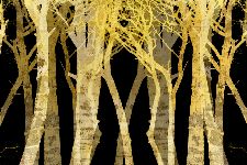 Bild: AP XXL2 - Stylized Trees - 150g Vlies (4 x 2.67 m)