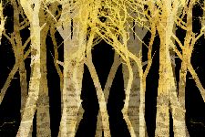 Bild: AP XXL2 - Stylized Trees - 150g Vlies