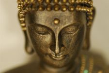 Bild: AP XXL2 - Buddhain Portrait - 150g Vlies