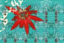 Bild: AP Digital - Floral Red - SK Folie (5 x 3.33 m)