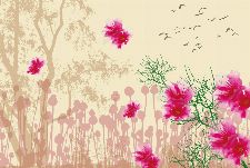 Bild: AP Digital - Nature - SK Folie