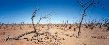 Bild: AP Digital - Outback - SK Folie (3 x 2.5 m)