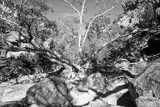 Bild: AP Digital - Rock Island - SK Folie (4 x 2.7 m)