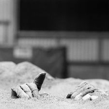 Bild: AP Digital - Discontinued - SK Folie (3 x 3 m)