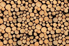 Bild: AP Digital - Stock Of Wood - SK Folie