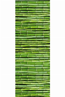 Bild: AP Panel - Bamboo power, SK-Folie
