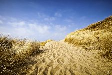 Bild: AP XXL2 - Sylt Beach - SK Folie (5 x 3.33 m)