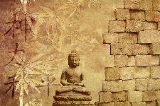 Bild: AP XXL2 - Buddha IM - SK Folie (4 x 2.67 m)