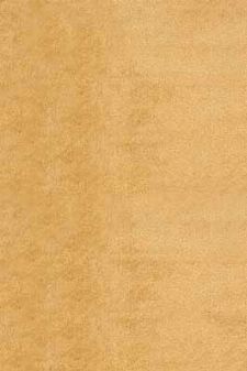 Bild: Hochflorteppich Venedig - (Beige)
