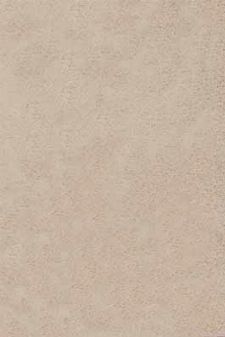 Bild: Hochflor Teppich Shaggy (Beige)