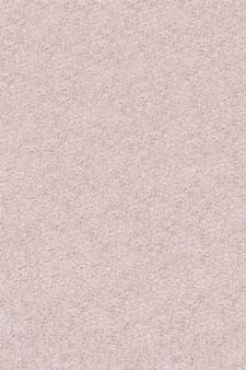 Bild: Hochflor Teppich Shaggy (Creme)