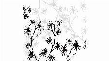 Bild: DM201-3 Branches 270*265