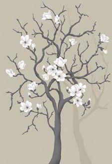 Bild: P0304024 Magnolia tree 180*265