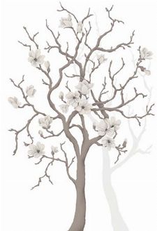 Bild: P0304034 Magnolia tree 180*265