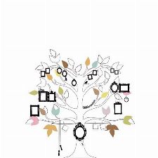 Bild: P1212016 Me tree 270*265