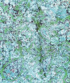 Bild: Eijffinger Fototapete Sundari 375212 - Faded Wall (Grün; 280 x 233 cm)