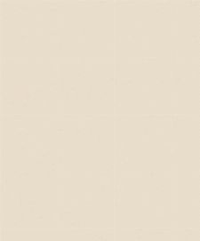 Bild: LS Chateau Vlies -Tapete 52619 (Champagner)