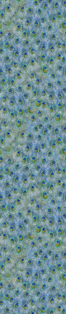 Bild: Glööckler Imperial 58504 - Panel Pfauendern (Grün)