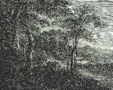 Bild: Passepartout Wandbild 606881 - Blätterwald