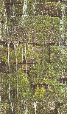 Bild: Barbara Becker Roots Wasserfall Tapete - b.b. VI 861303 by Rasch (Grün)