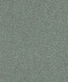 Bild: Rasch Textil Tapete Abaca 229386 - Uni (Grün)