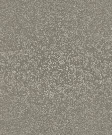 Bild: Rasch Textil Tapete Abaca 229430 - Uni (Grau)