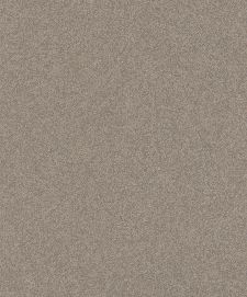 Bild: Rasch Textil Tapete Abaca 229492 - Uni (Braun)