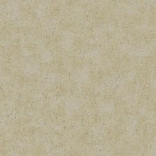 Bild: Accent - ACE65502120 Tapete: Beton Optik (Beige)