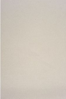Bild: LEGENDS - Tapete LGD58851370: Uni (Sand)