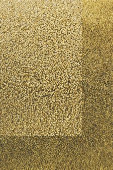 Bild: Schlingenteppich mit Frisee Bordüre Twinset Frame (Khaki; 140 x 200 cm)