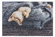 Bild: ASTRA Schmutzfangmatte -Deco Print Katze Decke